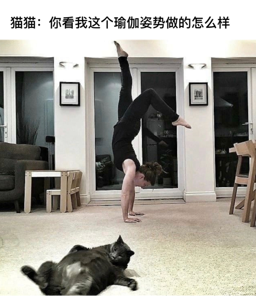 不赖#今日memes# //#新年快乐漫游指南# //#转发接龙开新年# ​​​