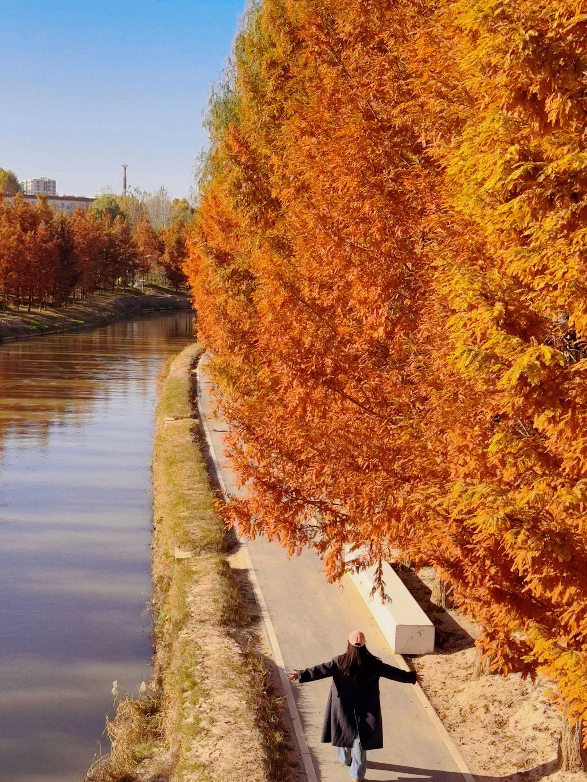 朋友圈被问疯了！真的是西安！！