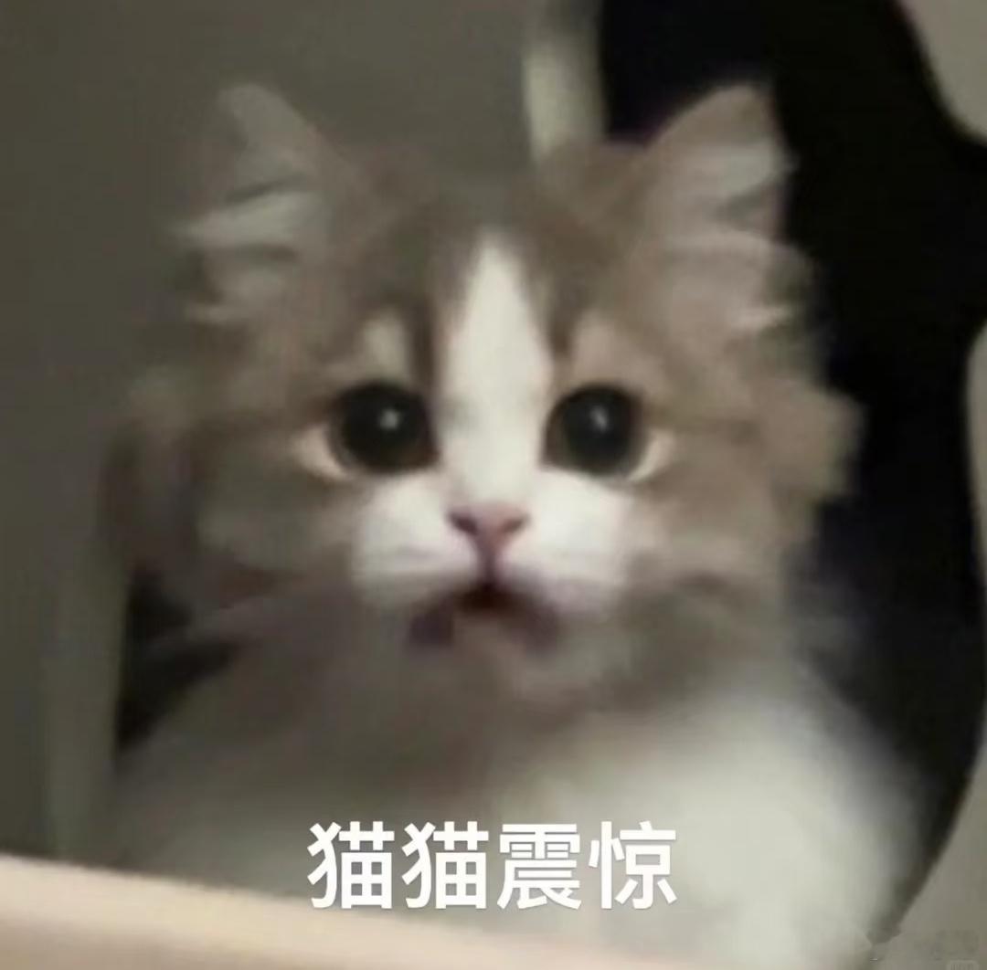 影视飓风曝AI抛硬币概率不是50％AI居然还不会抛硬币 细想一下逻辑就通了，影视