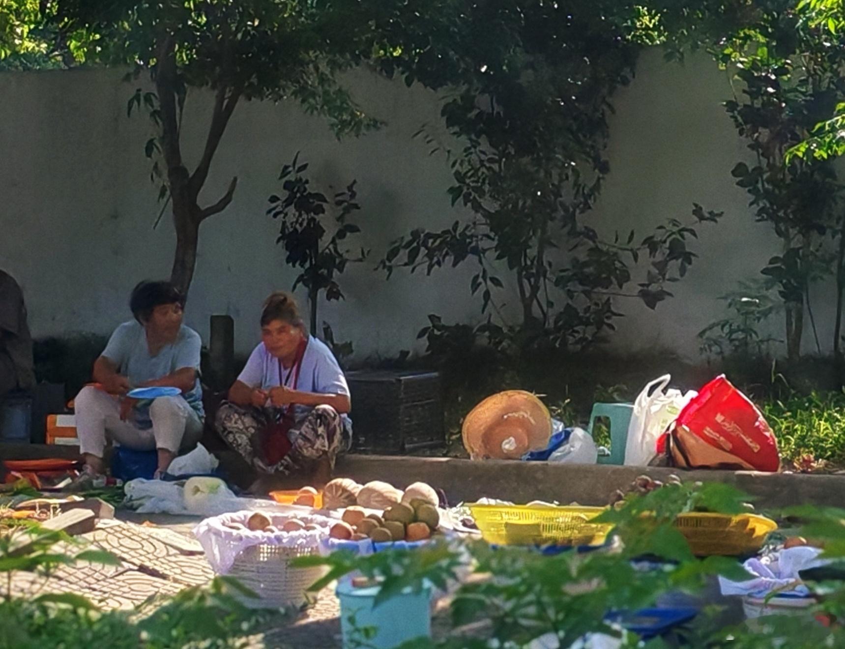上班路上的风景。东钱湖的荷花开了一大片，稻田里的白鹭，骑行的人，坐在桥下乘凉的人