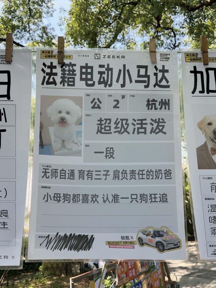 民政局的风已经吹到宠物届了 万万没想到，宠物也能赶潮流去“民政局”。看着萌宠们的