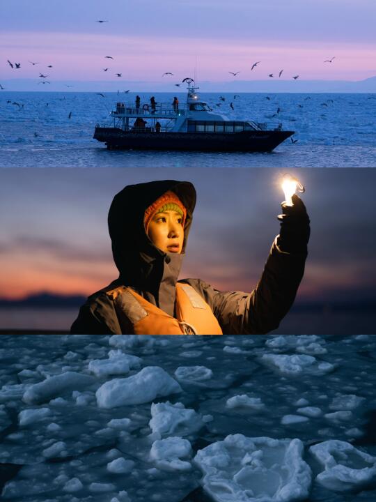 流冰野生动物❄️这是我看到的不一样的北海道