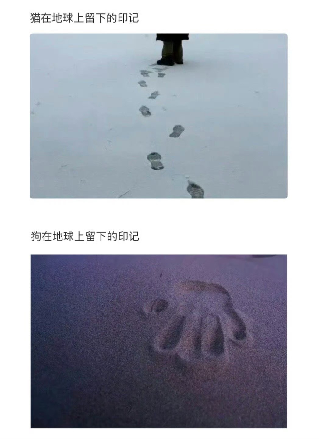 萌属了