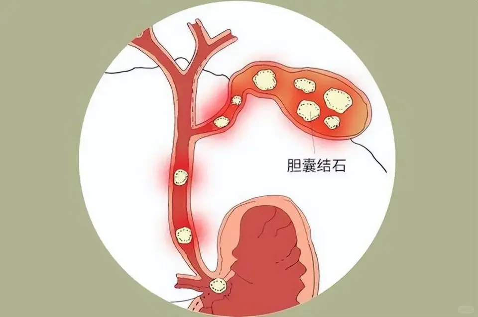 今天你吃早饭了吗？