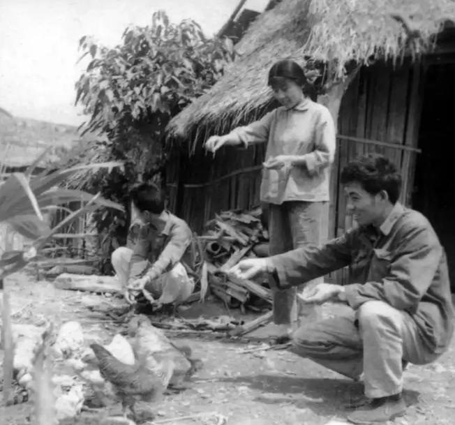 1969年，北京一名女知青被公羊顶倒。她从地上爬起来，拍打身上的泥土，那只羊又退