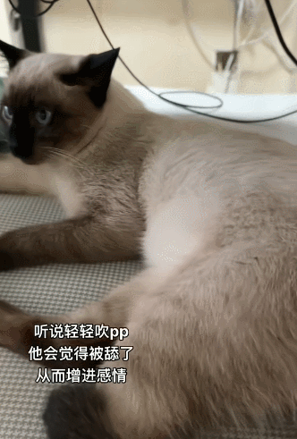 给孩子脸都气黑了 ​​​