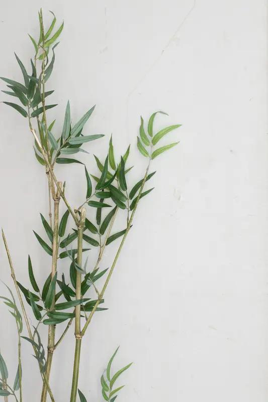上联：静赏风竹一窗翠；
下联：漫品香茶半盏醇。
