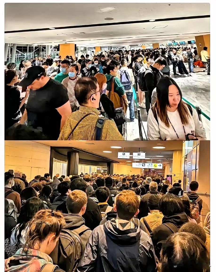 在日本的中国人走了，在中国的日本人没动。
不是他们不怕事，是日子真过习惯了。虽然