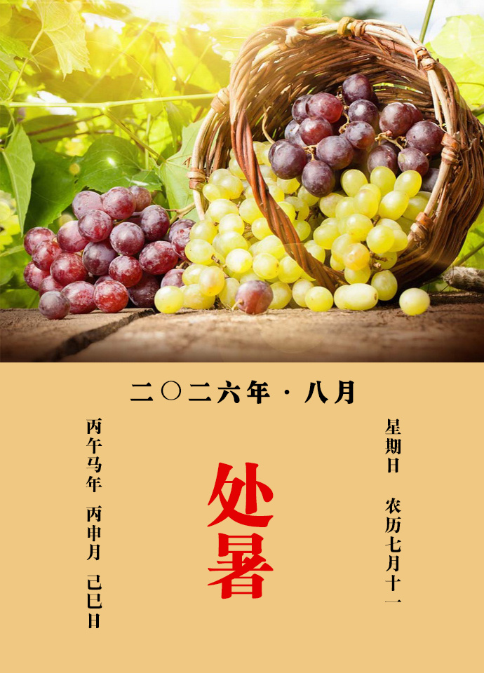 每天一味中草药 甄权说：葡萄主除肠间水气，调中治淋，通小便。疗胎气冲心，煎汤饮之