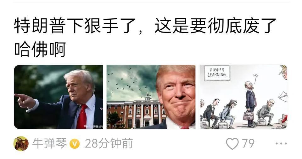 “特朗普要废了哈佛”，这种假消息，不知鼓舞了多少人心，鼓舞了多少代人心！可这人心