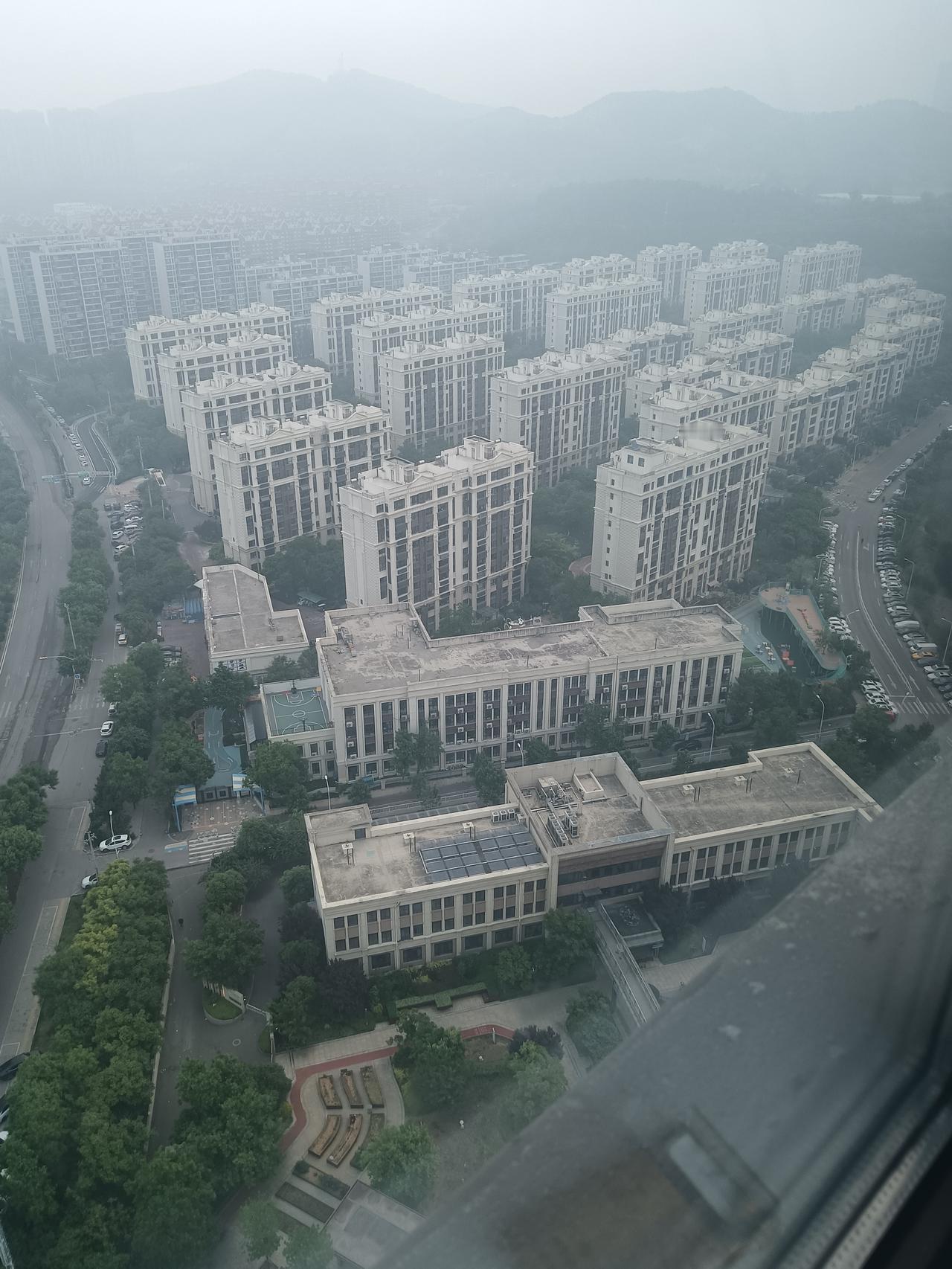 济南的幼儿园里还养着小羊驼🦙和小羊呢，真先进。
        我看好了幼儿园