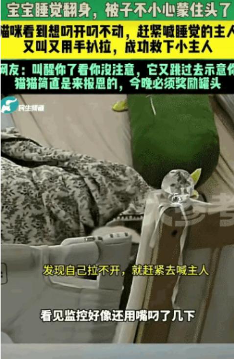 “万物皆有灵！”山东，婴儿翻身不慎被棉被捂住，熟睡的妈妈毫无察觉。危急关头，家猫