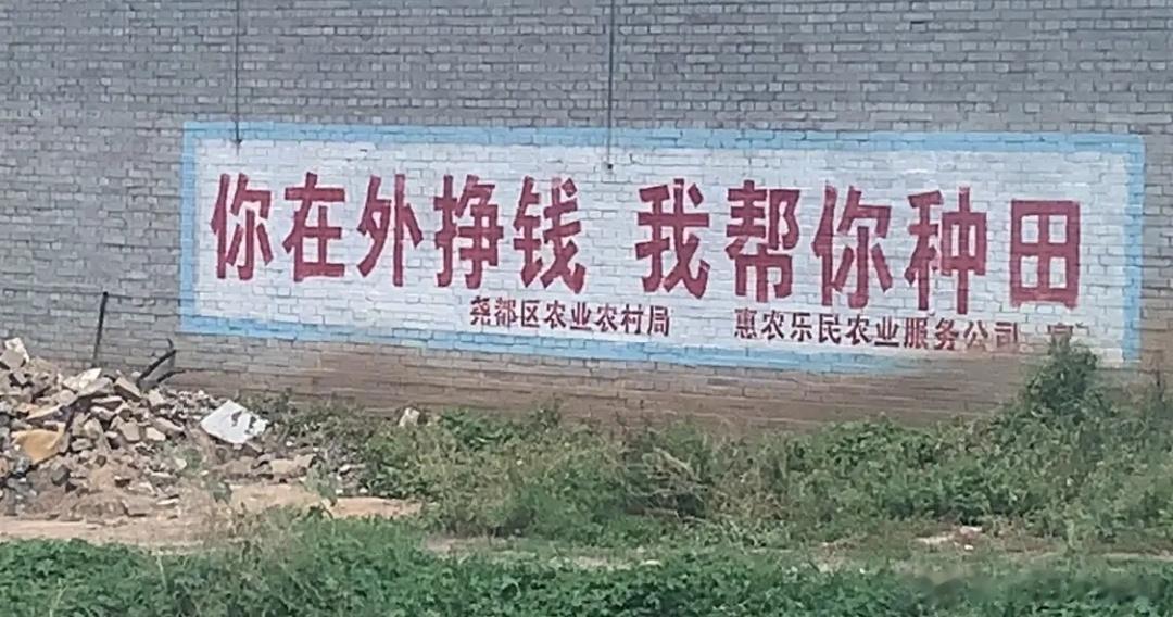“你在外挣钱，我帮你种田”。很多农民工在城市里面打拼，每隔一段时间，就会回老家去