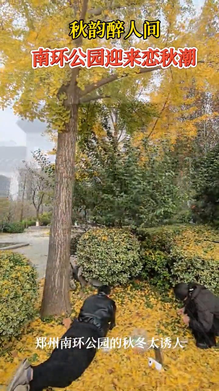 秋韵醉人间，南环公园迎来恋秋潮。
郑州南环公园的秋冬太诱人。