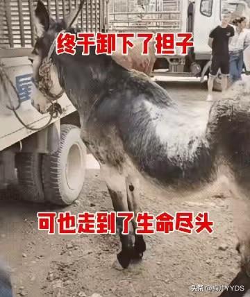 就这也没放过它的剩余价值