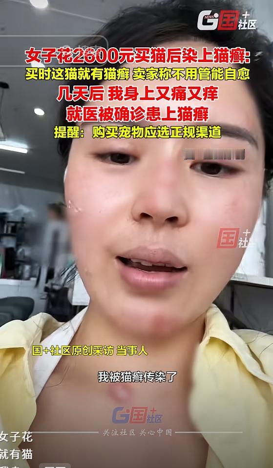 崩溃了！浙江嘉兴，女子花2600块钱买了一只猫，没几天，女子脸上就红了好几块，又