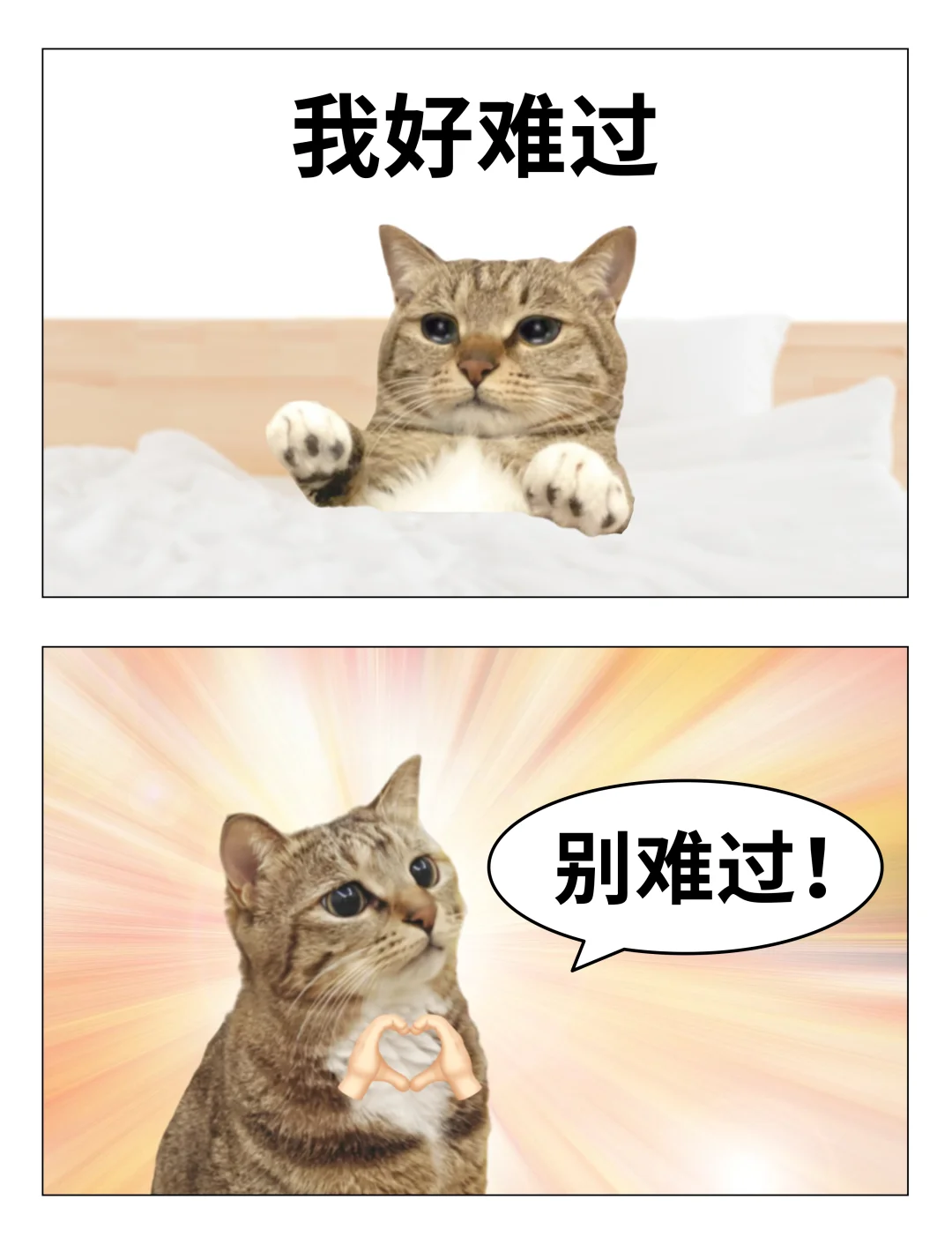 我安慰朋友的能力