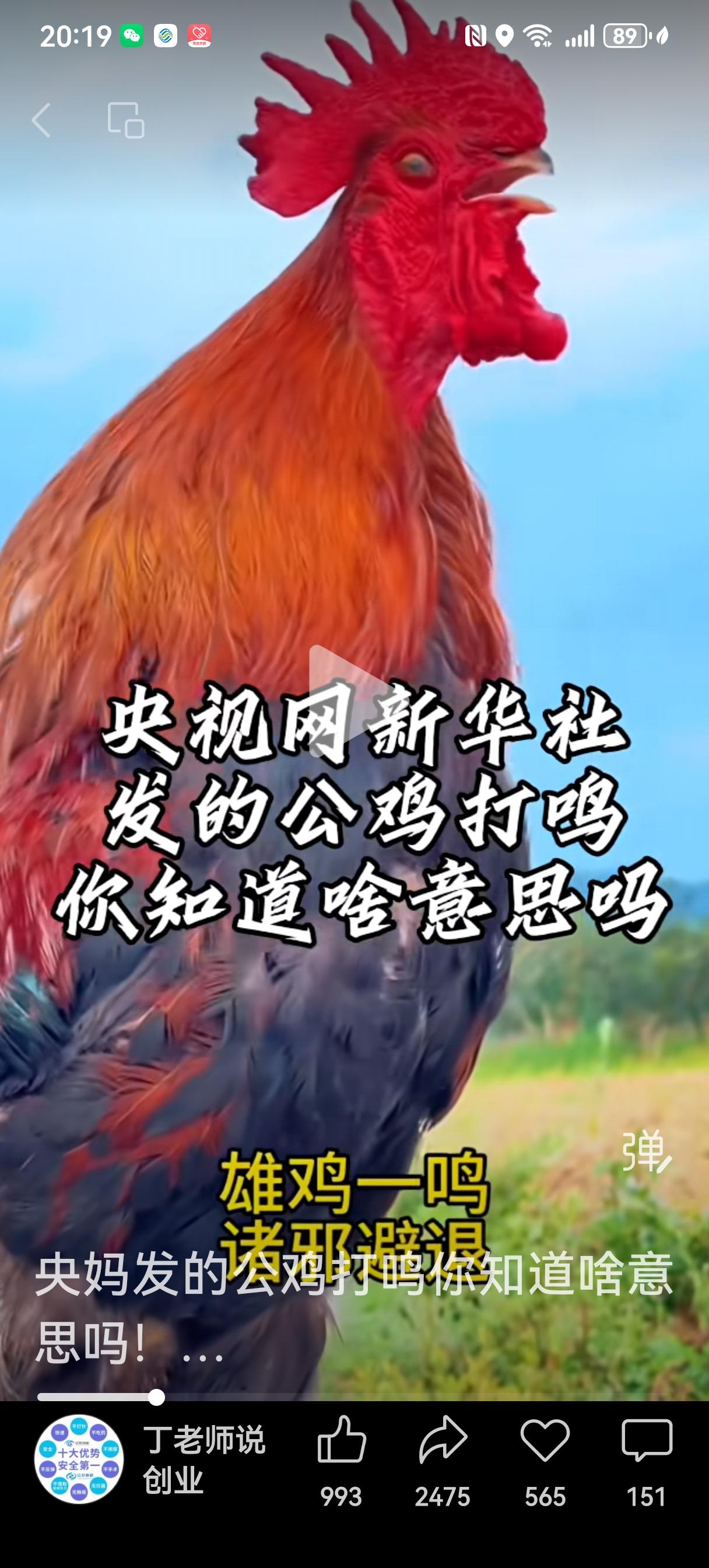 央视网新华社都发表了公鸡打鸣视频。大的事情先不说，说说上世纪六十年代末七十年代初