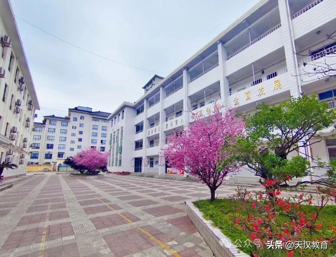 汉九中2026届初三百日誓师大会隆重举行。2026年3月11日，距离中考仅剩10