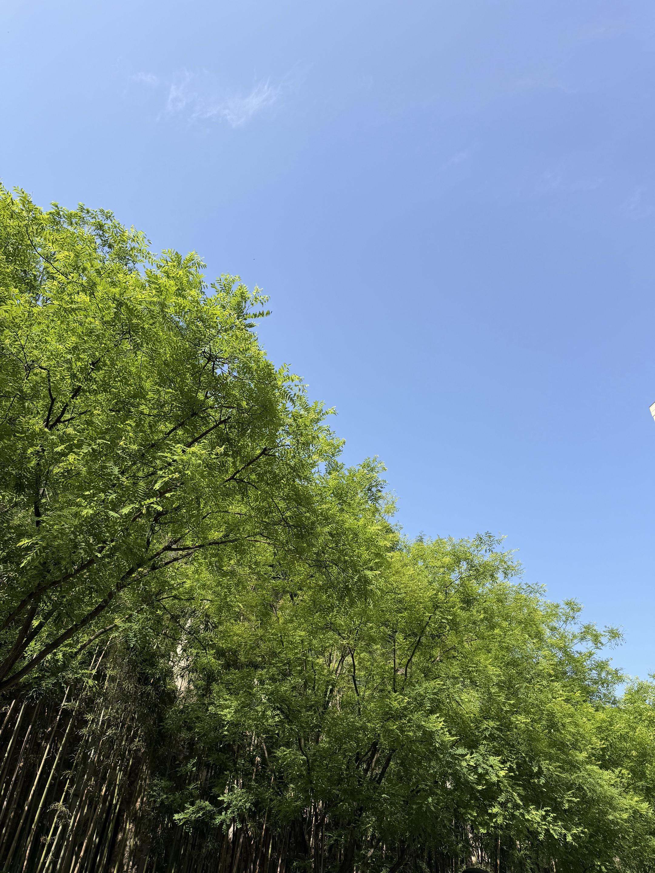 我习惯随手一拍～