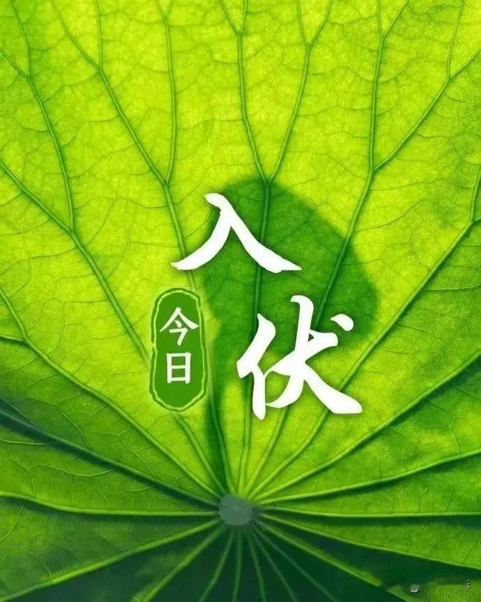 今日入伏！上午9点56分正式进入伏天。俗话说："早入伏，凉飕飕；晚入伏，热死牛"