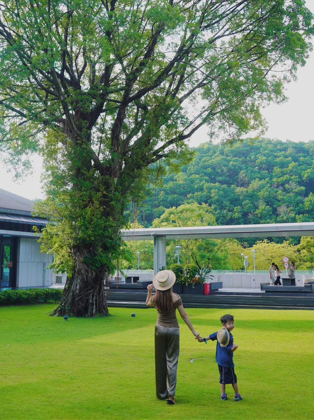 🌿广州Staycation🏞️带娃住进白云山风景区
