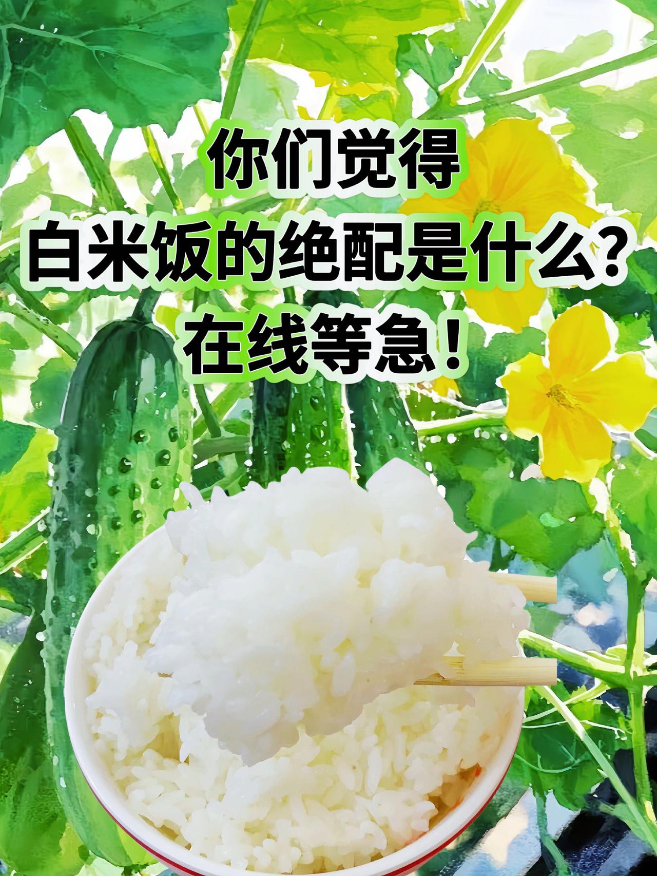 你们觉得。上热门 十万个为什么 每日分享 看过来 必备