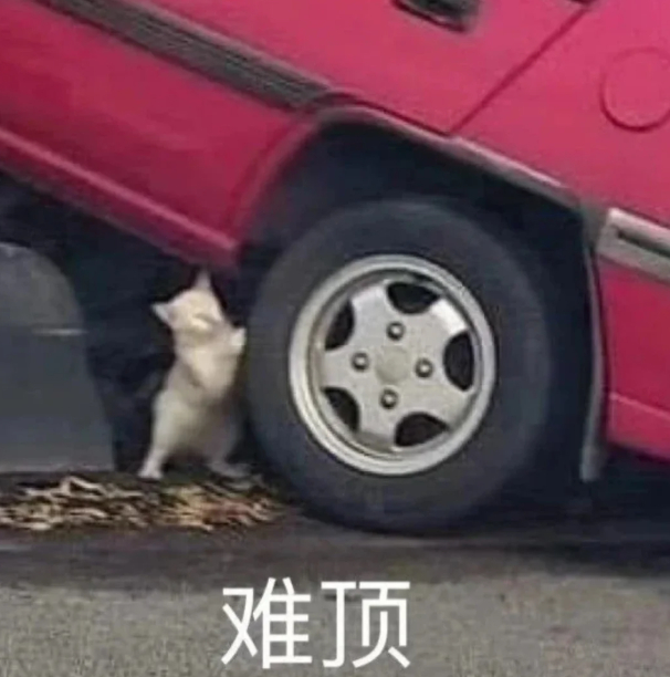 最希望取消的社交礼仪 取消随礼吧，互相给来给去的，还得记着收了多少到时候还多少 