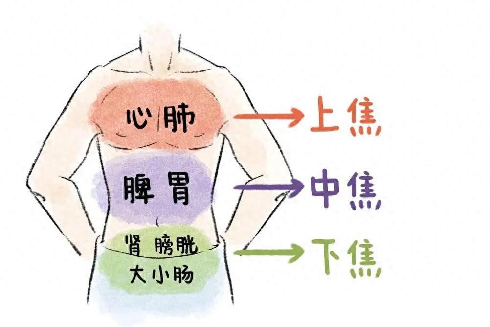 三焦不通，湿热必生！打通三焦一把清，湿热连根铲干净
我是中医陈大夫，内容仅作健康