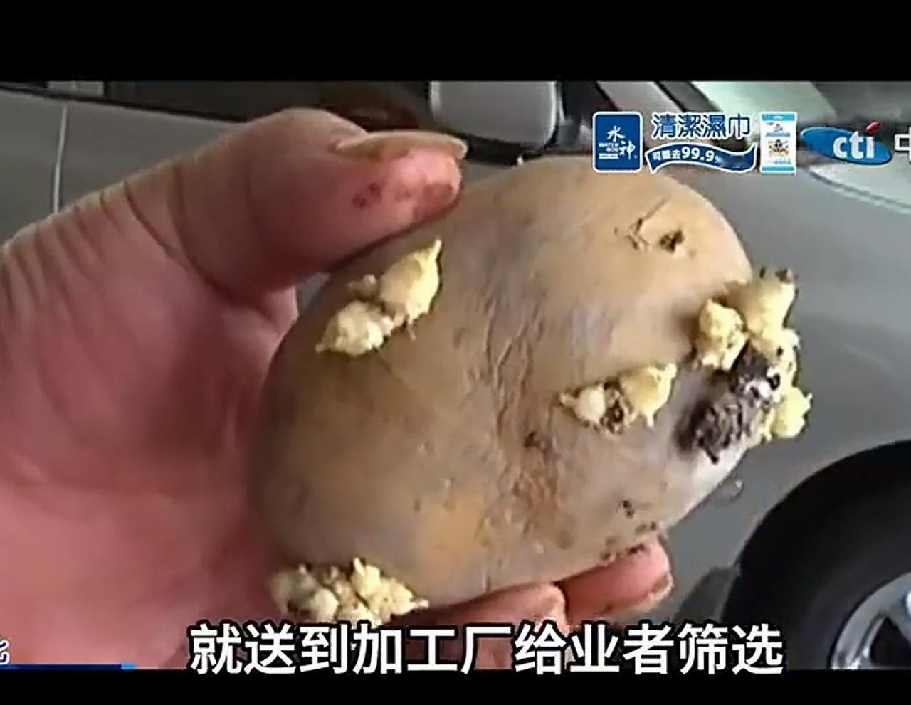 坏透了！大陆推出十项惠台措施，民进党推三阻四，美国卖给台湾一堆发芽烂土豆，民进党