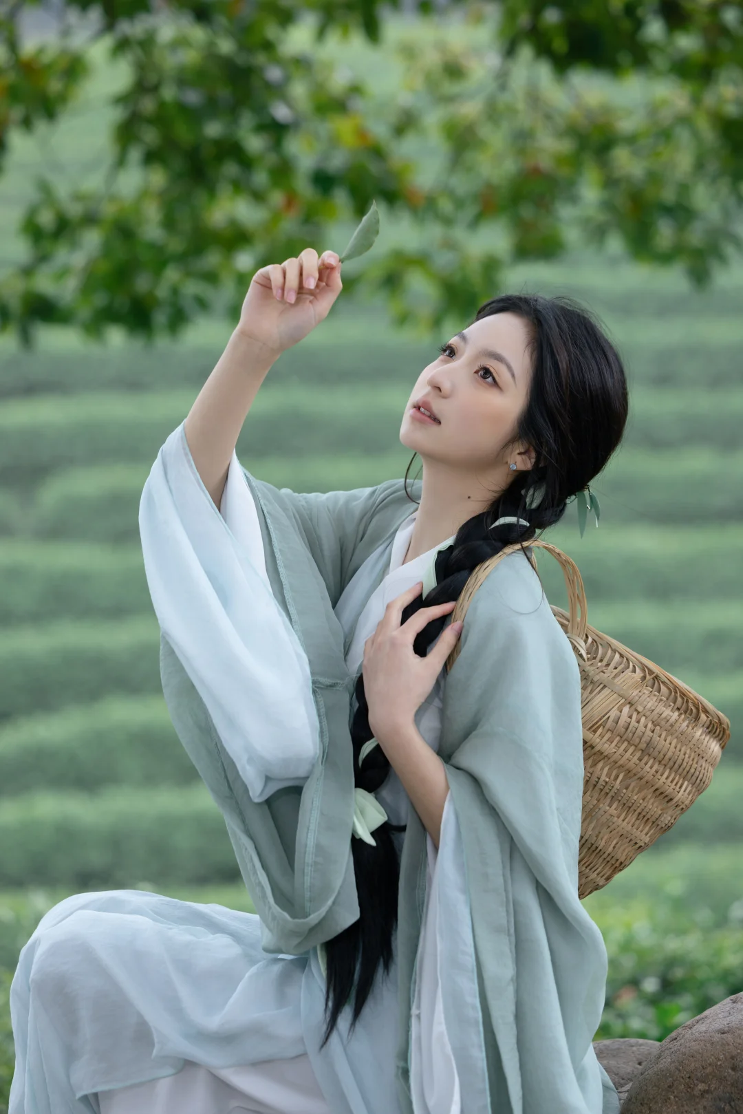 “采茶小师妹来了🍃”
