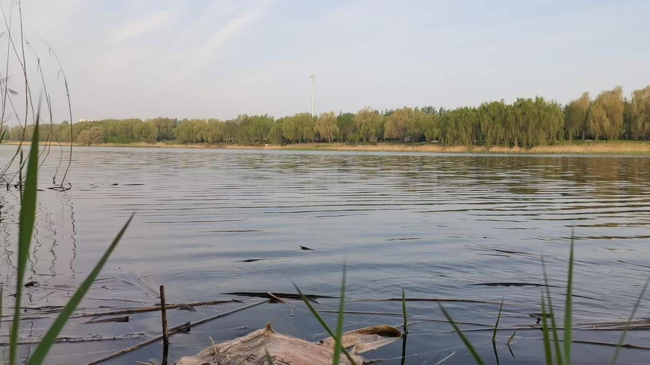 形意拳劈拳，
发力和古代的抛石机一个原理，
劲力一启动，通过腰胯脊柱一作用，
把