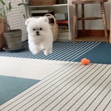 菊花逛逛音乐