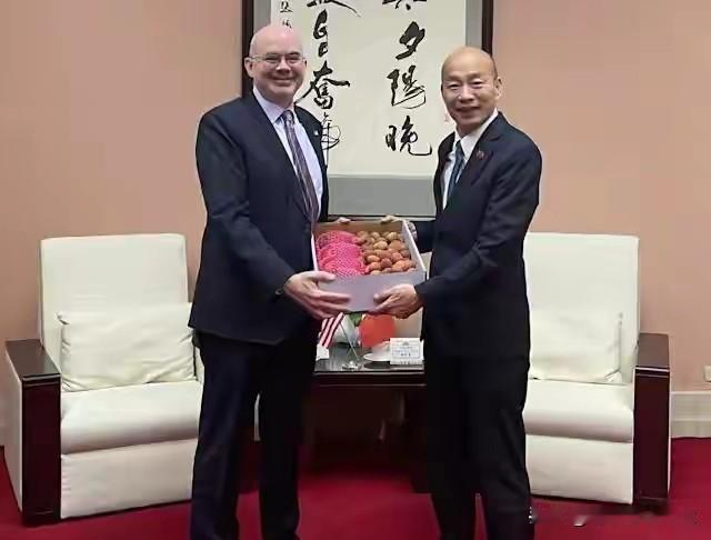 “大佬们”接连“窜访”为哪般？

最近台岛不断爆料，韩国瑜将率三色民代出访团“窜