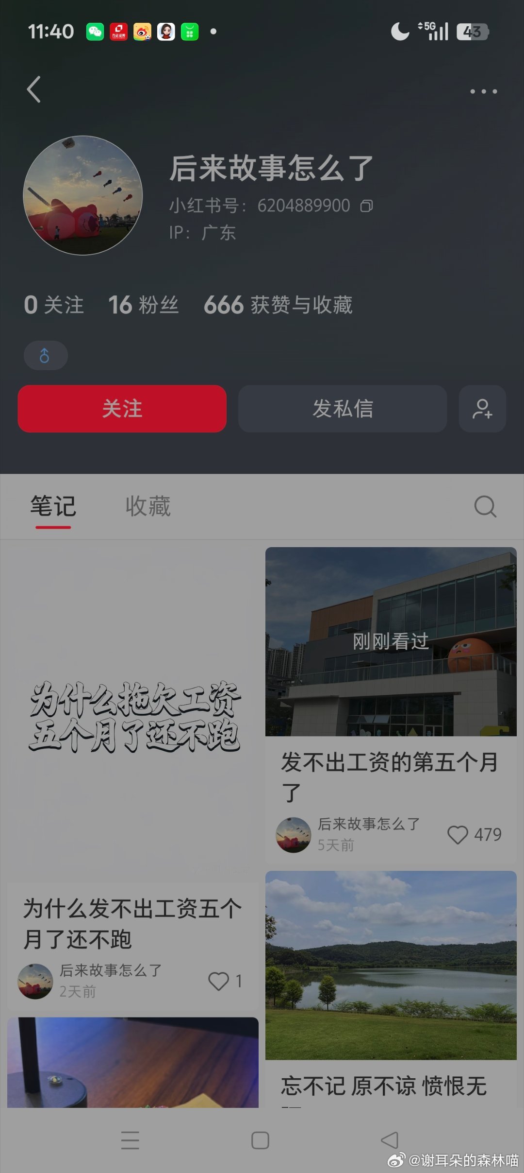 小红书上大量的失业故事或者虽然上班但是比失业也好不了多少的故事 