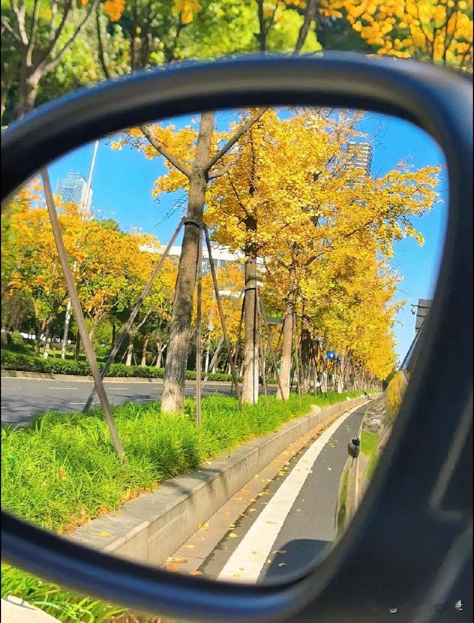 秋天会给认真走路的人，准备好礼物。不必焦虑结果，不必纠结得失，你只管稳稳往前走。