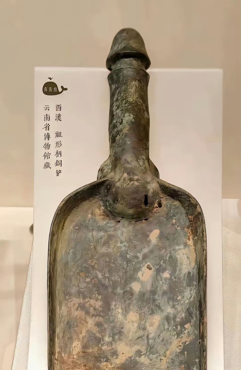 每日学习打卡铲子？ ​​​