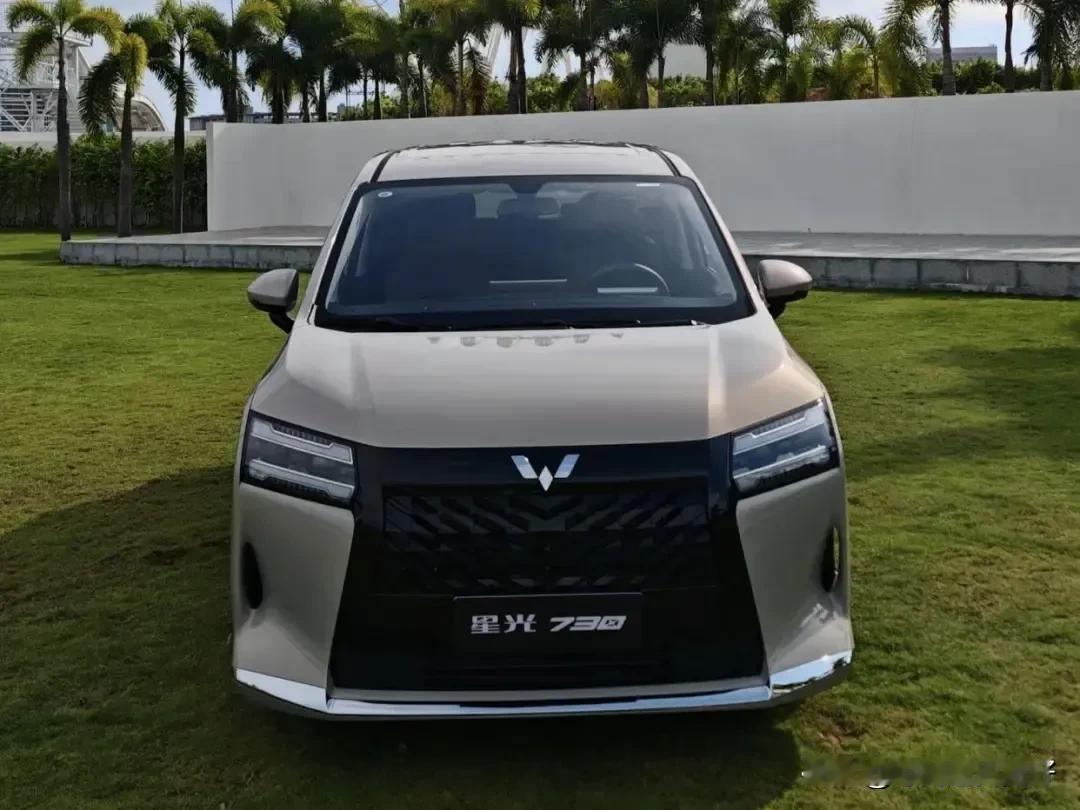 不管你信不信，现在买MPV的家庭是越来越多了，我不说，你也知道是什么原因。老款M