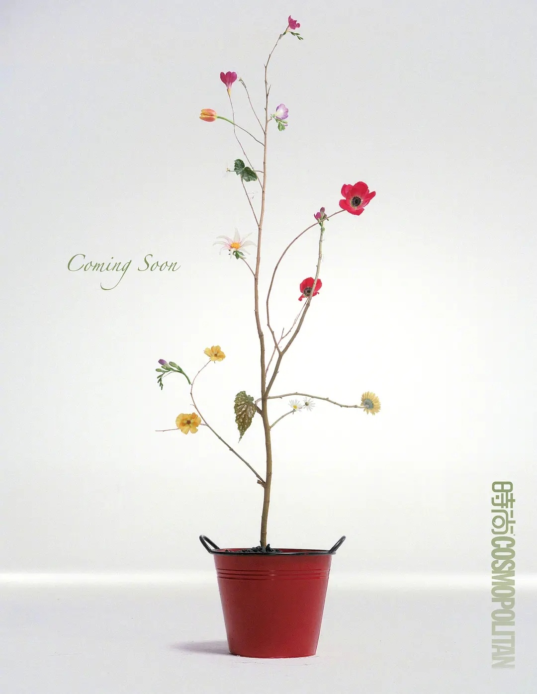 李昀锐首登女刊五大，百雀羚推封且解锁新身份！！这是续约➕升t的意思吧 