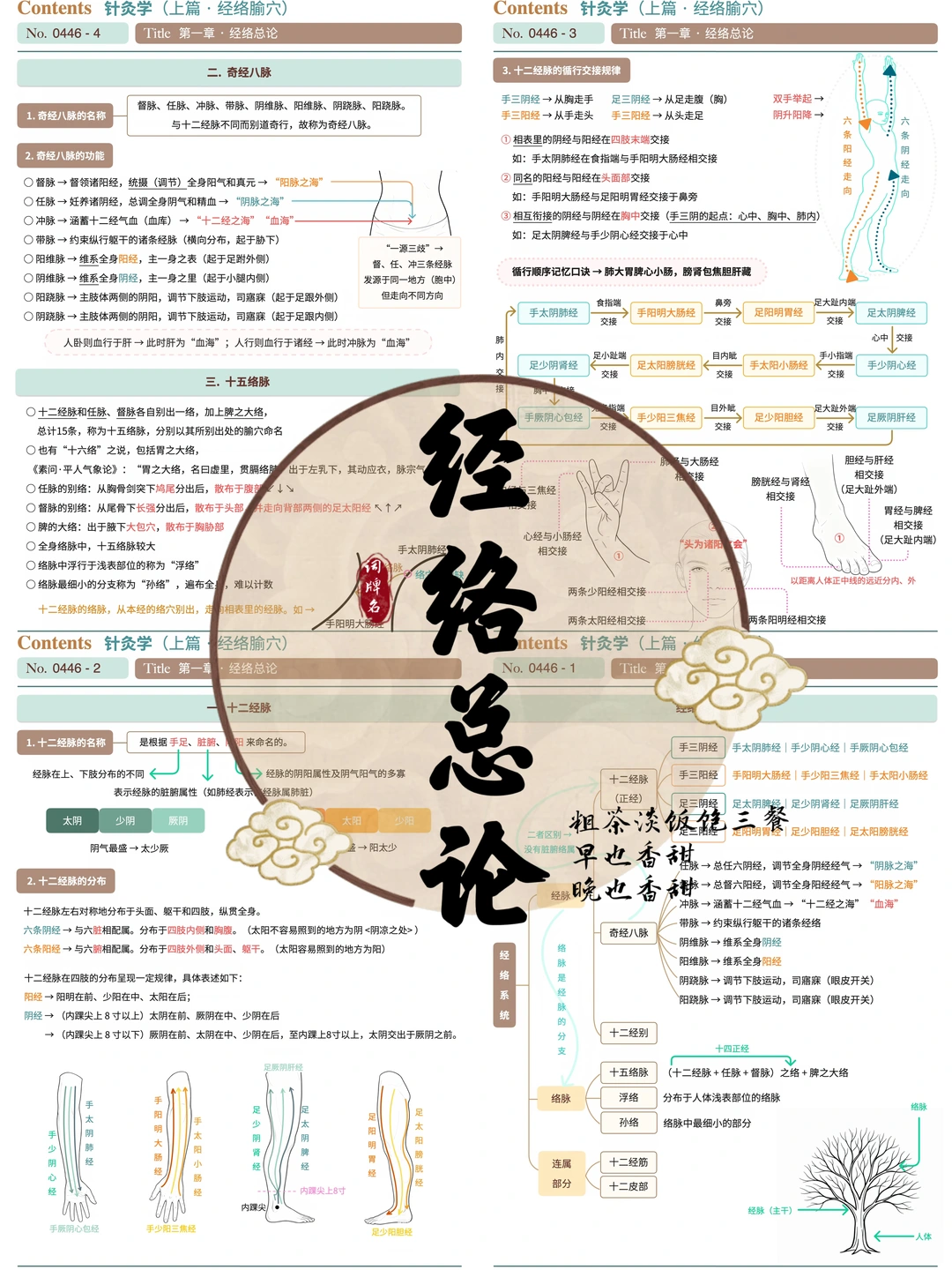 学习笔记446篇｜一看就懂的针灸笔记开篇啦🎉