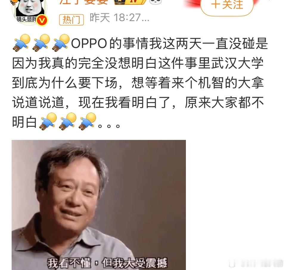 这就整件事最诡异的地方，在德国被抓的那几个男留子母校都没站出来切割，武汉大学发现
