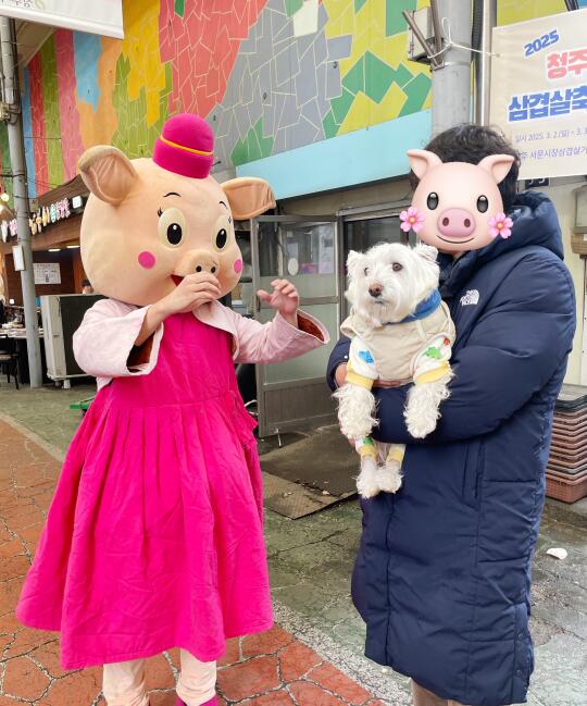 🇰🇷清州 3.3 삼겹살축제