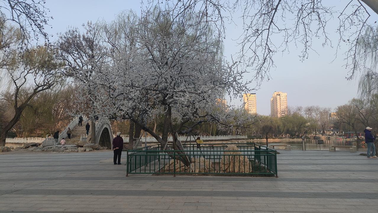 大鹏一日同风起，扶摇直上九万里
坚韧不拔，意志坚强，持之以恒，定会美好。