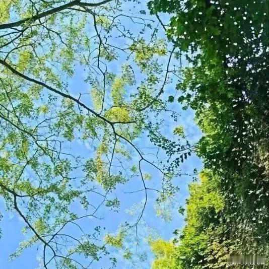 心善则美，心纯则真，如果我们能持有一颗平常心，坐看云起云落，花开花谢，一任沧桑，