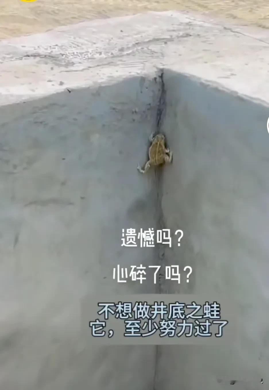 不想做井底之蛙了，总要努力一把。
遇上贵人，拉一把能成功；
遇上下雨，水涨高了能