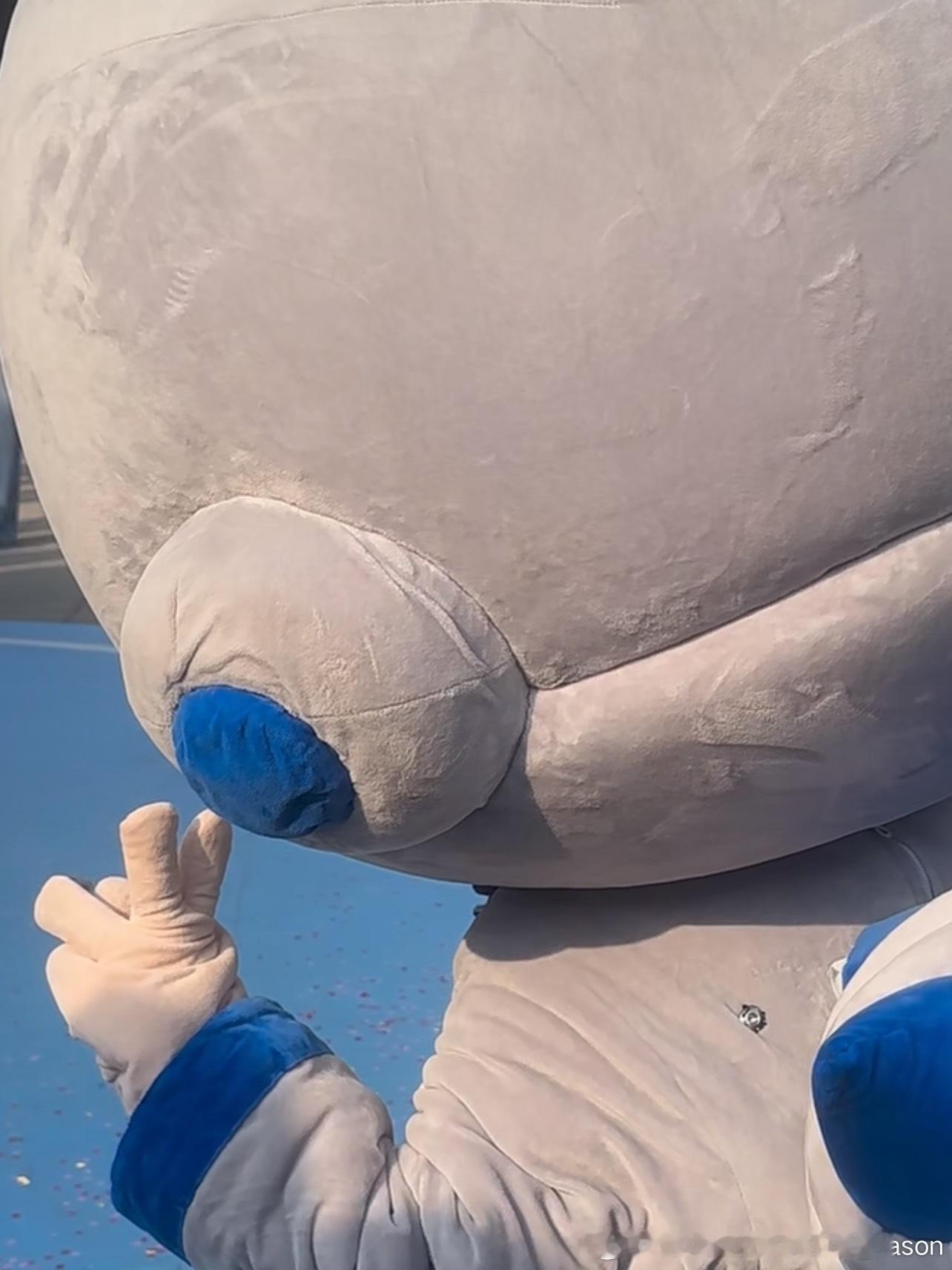 斗斗这是2还是3呀