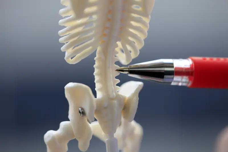 腰突何时能康复真是个让人头疼的问题。恢复时间和突出程度、治疗方式、个人状况等都有