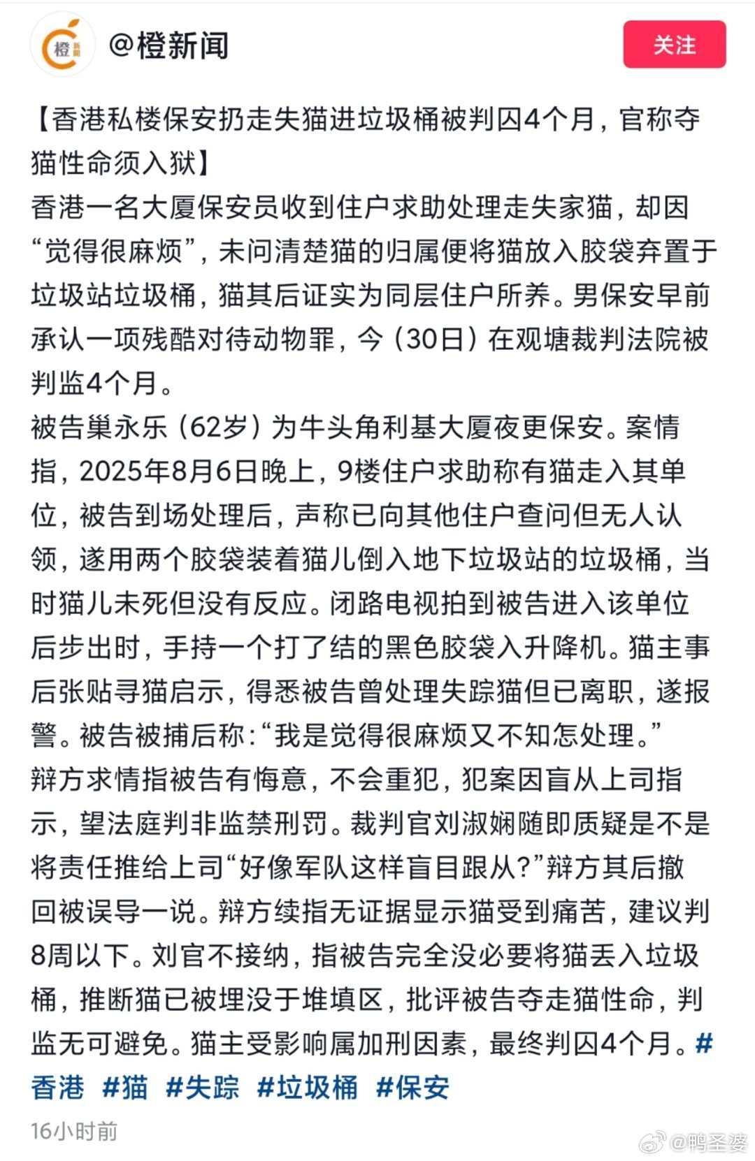 【香港私楼保安扔走失猫进垃圾桶被判囚4个月，官称夺猫性命须入狱】“夺走猫性命，判