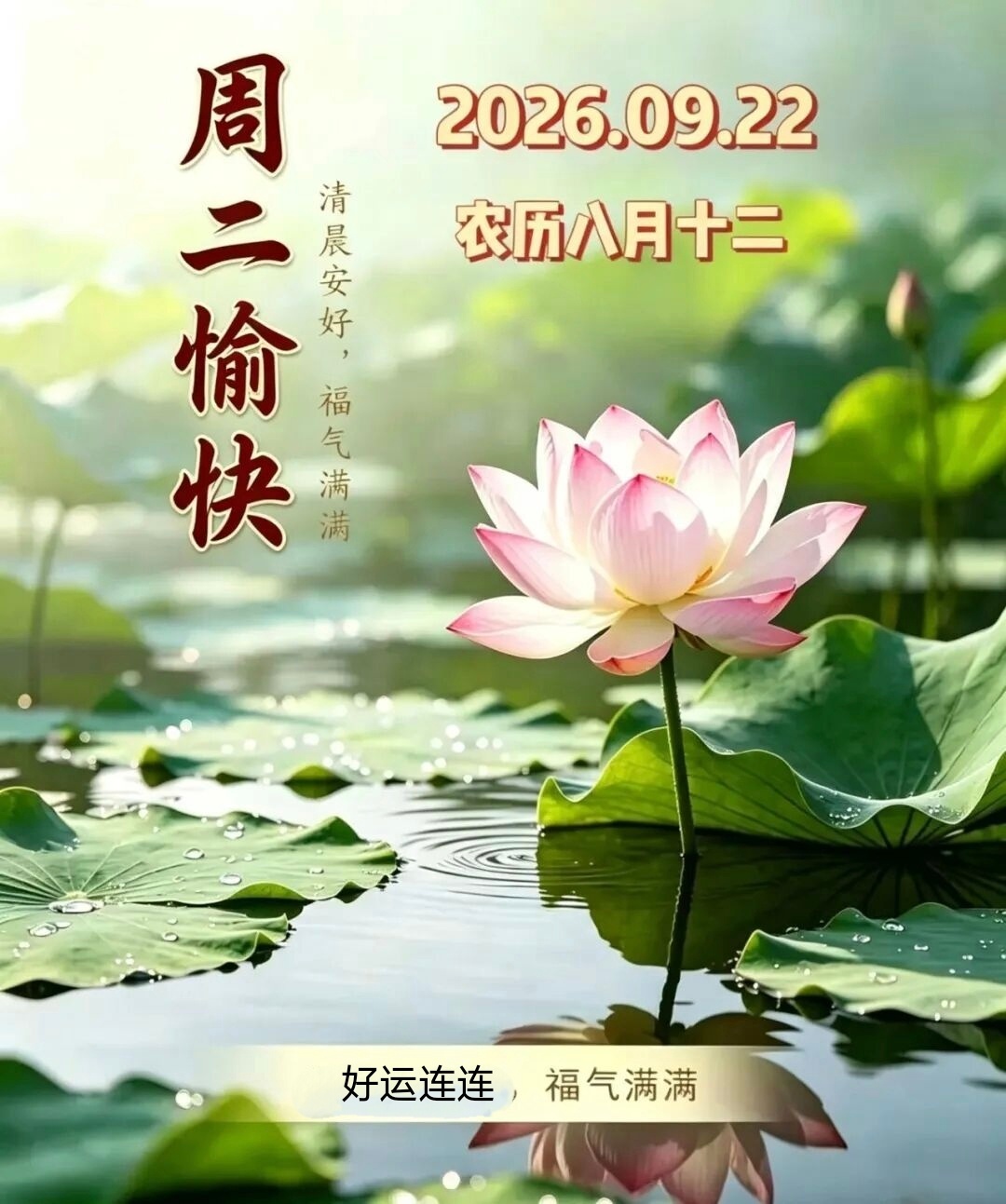 🌻9月22日，星期二，愿你带着秋日的清醒，把今天过成向上的答案 ！🎻💖🎸