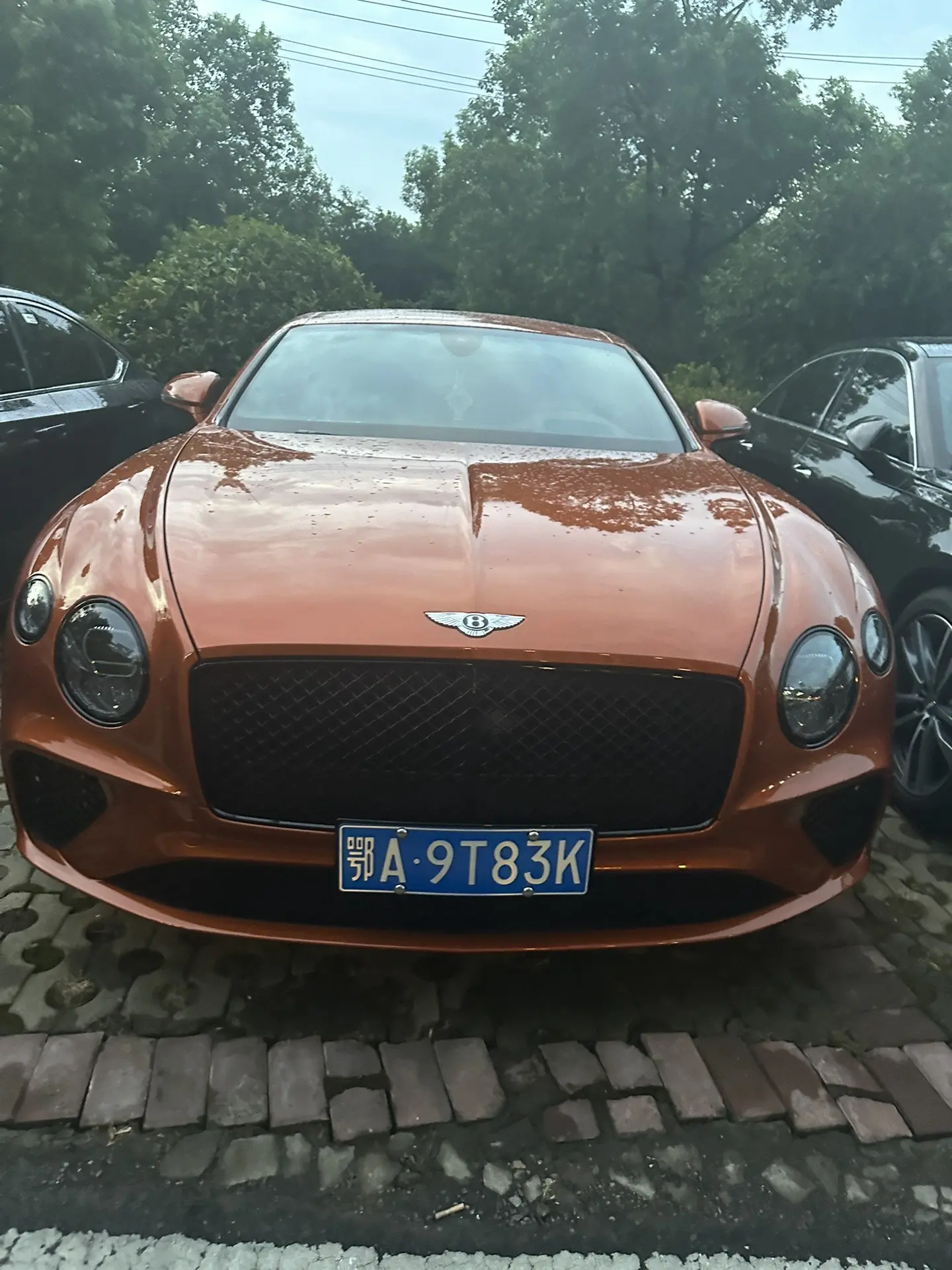 Bentley Continental GT! V8 engine!